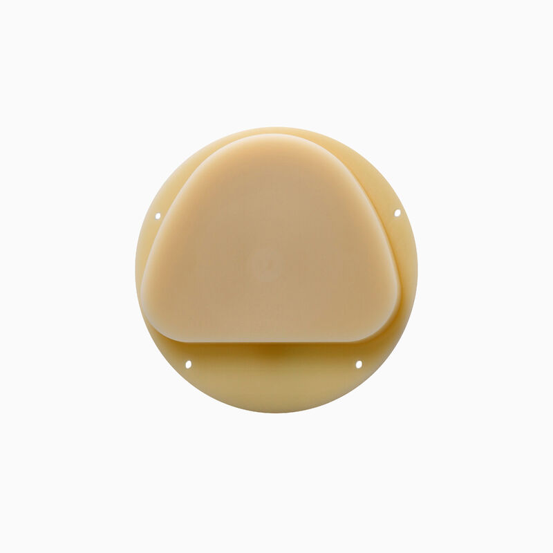 كتلة Pmma الأسنان مع قوة الانحناء من 150Mpa والكثافة بين 132 و 151g لكل مل مثالي لاستعادة الأسنان